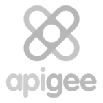 Apigee developer