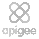 apigee_gcp_developer_-1.png