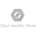 google_automl_vision_expert.png